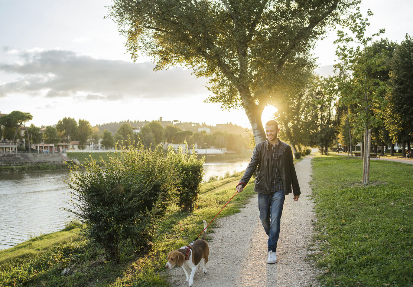 Young man walking his dog | Blog | Greystar